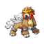 244.png
