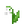 Lily Of The Valley.png