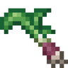 Medicinal Leek.png