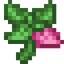 Naive Mint.png