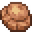 Skull Fossil.png